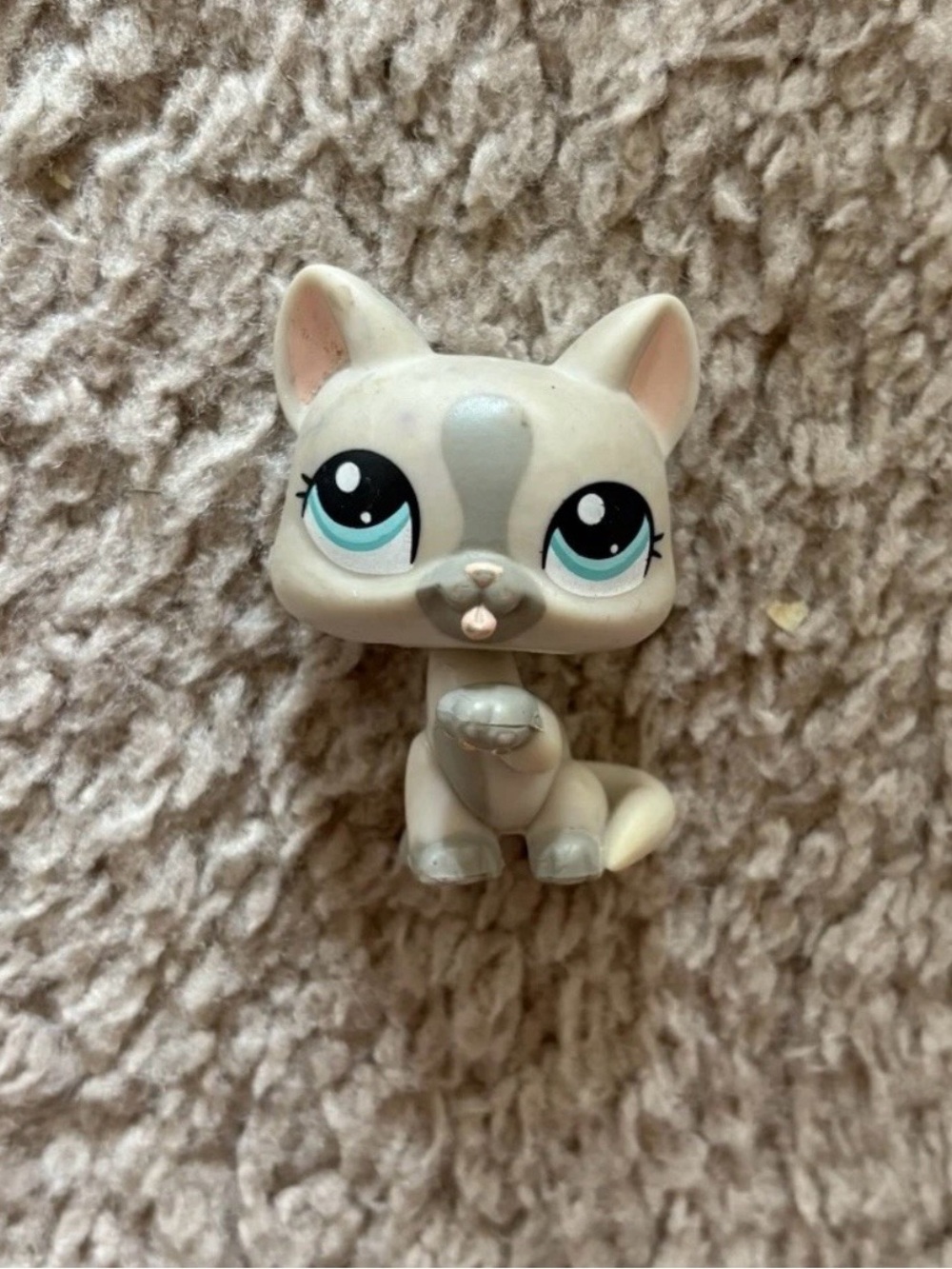 Littlest Pet Shop Cream and Gray Cat Figure with Blue Eyes
